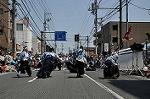 Dcim11037/DSC_7953