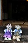 Dcim11037/DSC_8025