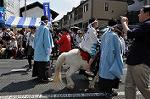 Dcim11038/DSC_8086