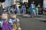 Dcim11039/DSC_8197