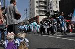 Dcim11039/DSC_8249