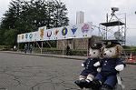 Dcim11065/DSC_0913