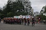 Dcim11066/DSC_1046