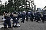 Dcim11066/DSC_1155