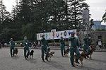 Dcim11067/DSC_1229