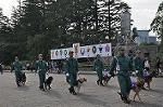 Dcim11067/DSC_1230