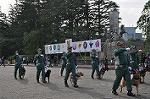 Dcim11067/DSC_1231