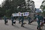 Dcim11067/DSC_1232