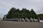 Dcim11067/DSC_1252
