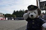 Dcim11068/DSC_1342