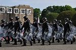 Dcim11068/DSC_1369