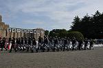 Dcim11068/DSC_1383