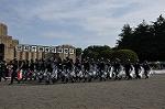 Dcim11068/DSC_1384