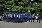 Dcim11069/DSC_1458