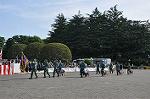 Dcim11070/DSC_1603