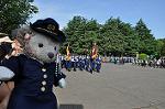 Dcim11071/DSC_1795