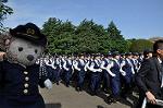 Dcim11071/DSC_1799