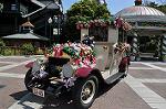 Dcim11072/DSC_1858