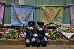 Dcim11074/DSC_2127