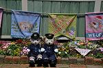 Dcim11074/DSC_2128