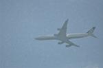 Dcim11074/DSC_2185