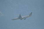 Dcim11074/DSC_2189