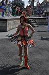 Dcim11075/DSC_2377