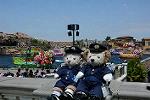 Dcim11082/DSC_1532