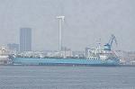 Dcim11099/DSC_4778