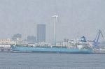 Dcim11099/DSC_4781