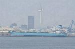 Dcim11099/DSC_4782