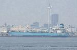Dcim11099/DSC_4783