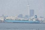 Dcim11099/DSC_4784