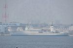Dcim11099/DSC_4796