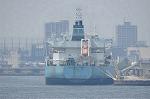 Dcim11099/DSC_4816