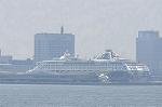 Dcim11099/DSC_4819