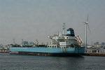 Dcim11105/DSC_2151