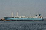 Dcim11105/DSC_2162