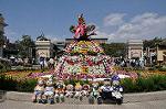 Dcim11109/DSC_5587