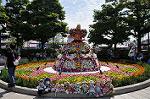 Dcim11109/DSC_5591