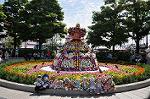 Dcim11109/DSC_5594
