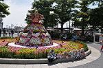 Dcim11109/DSC_5604