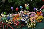Dcim11112/DSC_6012