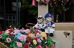 Dcim11113/DSC_6033