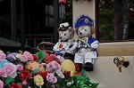 Dcim11113/DSC_6038