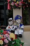 Dcim11113/DSC_6039