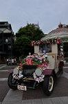 Dcim11113/DSC_6043