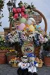 Dcim11113/DSC_6060