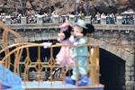 Dcim11114/DSC_2240