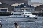 Dcim11118/DSC_6508